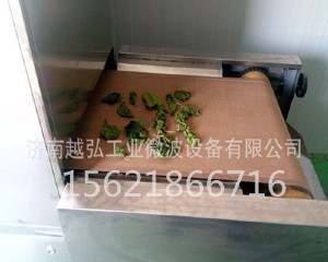 玫瑰花烘干机/新型茶叶微波烘干杀青一机两用设备-济南越弘工业微波设备有限公司